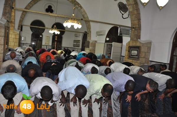 trawe7 7san bek 715 (20).JPG